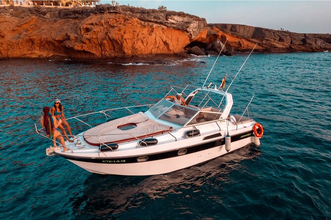 3 Hour Shared Motor Yacht Boat Trip & Snorkeling With Small Group - Watching whales and dolphins off Tenerife