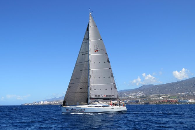 3 Hours All Inclusive Whale and Dolphin Whatching Yacht Trip - Three hours with whales, dolphins, and open water