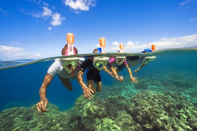 4 Hour Private Yacht Tour Mallorca - Four hours of swimming and water play