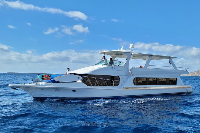 All Inclusive HUGE 75ft Yacht Up to 50 Guests Early Bird Promo - A 75-foot yacht gives your Cabo day room to breathe