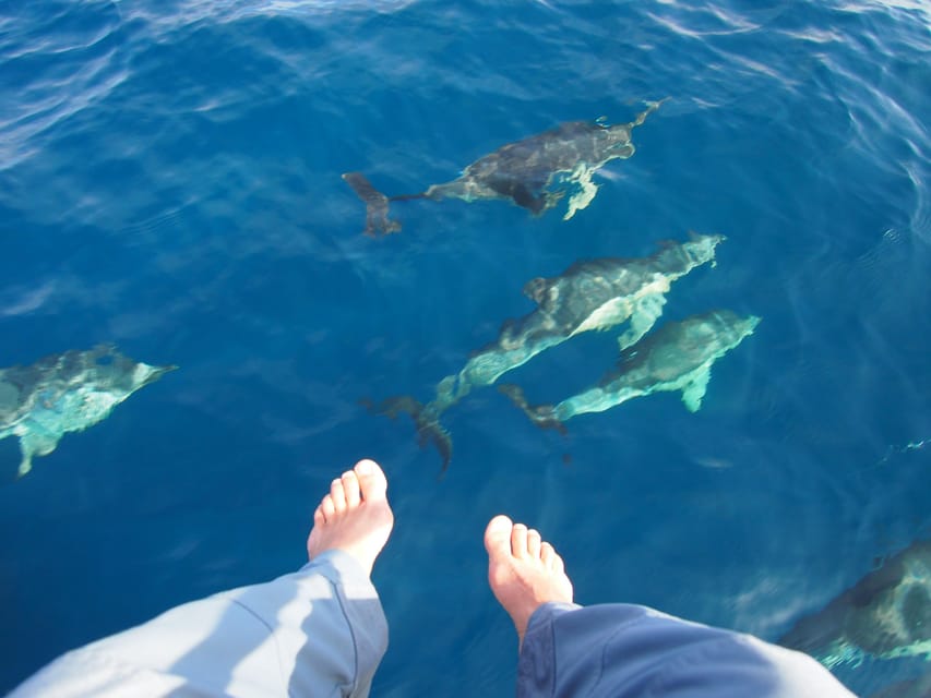 Always private 4 hour - Sail- dolphin Yacht Charter-paddle - What the $294 price means