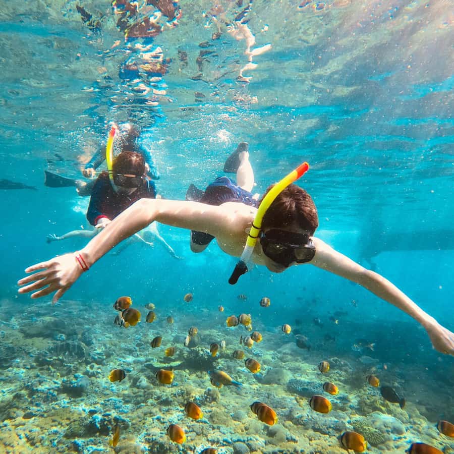 Bali: Private Yacht Snorkel at Manta Point & 2 Spots Penida - My call: book it if the private boat matters