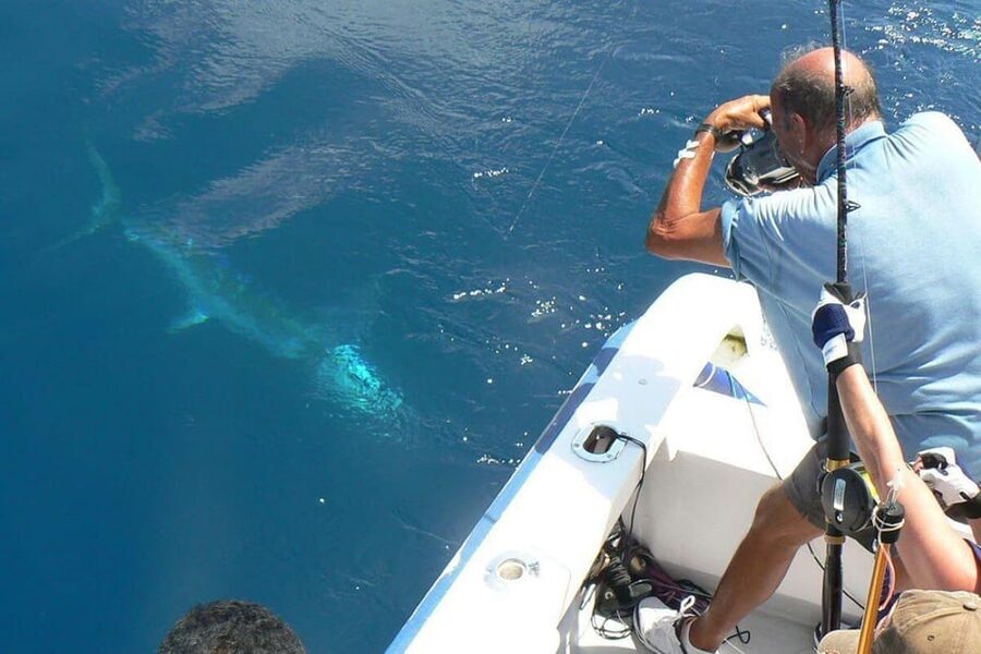 Barcelona: Privat fishing trip in a yacht - What Happens During the Four-Hour Charter