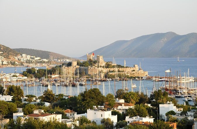 Bodrum Private Motor-Yacht Tour With Lunch For 6 Hours - Aquarius Bay, fish, lunch, and your first swim