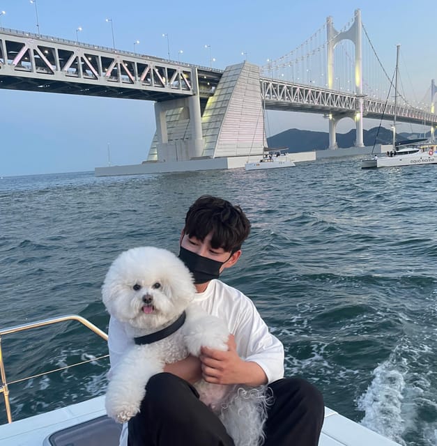 Busan: Group Sightseeing Yacht Cruise with Snacks and Drinks - Quick points to know before booking
