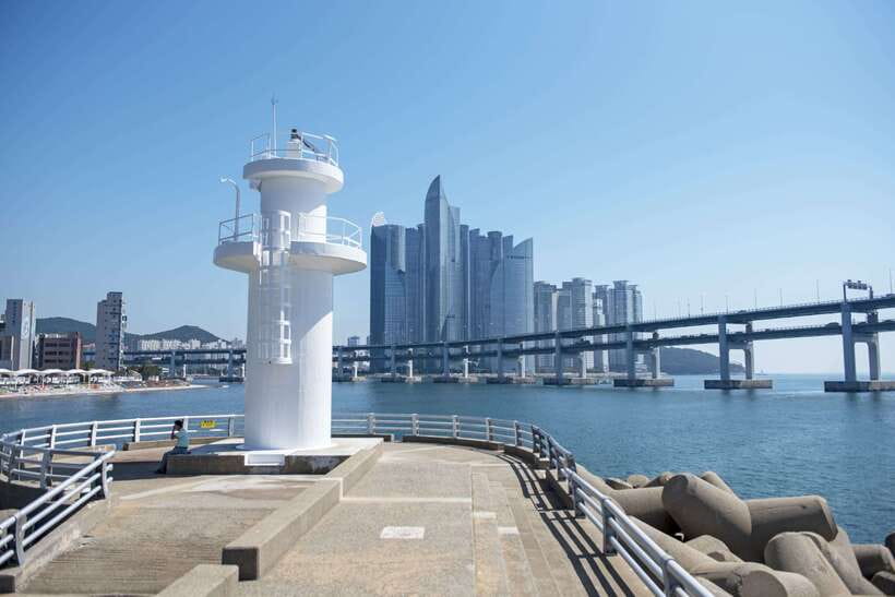 Busan's Best: Sea Temples, Yacht Tour & Sky Capsule Day Tour - Busan from the water on a 70-minute yacht cruise