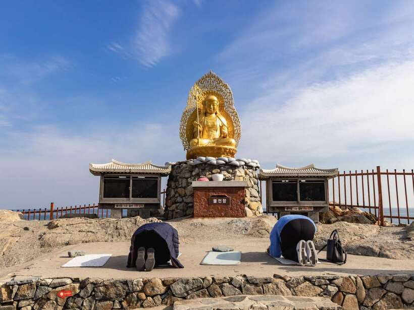 Busan's Best: Sea Temples, Yacht Tour & Sky Capsule Day Tour - Who should book this experience