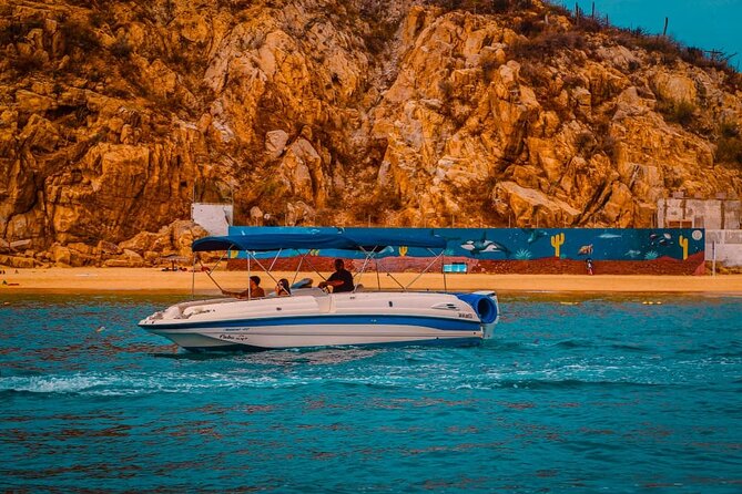 Cabo life Private Yacht in Los Cabos | 10 PAX & 3 HRS - Watching the sea lion colony