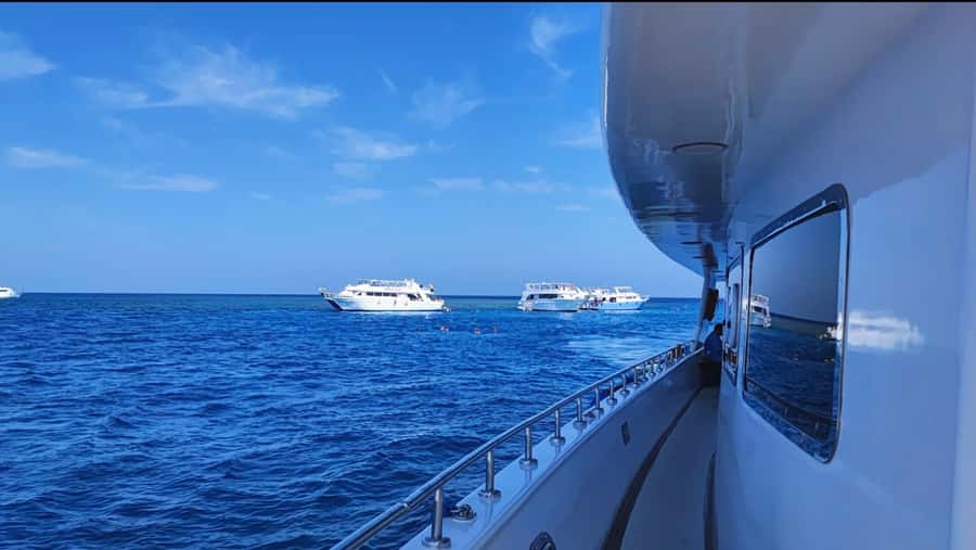 Cairo to Red Sea: VIP Yacht Cruise, Snorkeling & Lunch - Boat comfort and crew service
