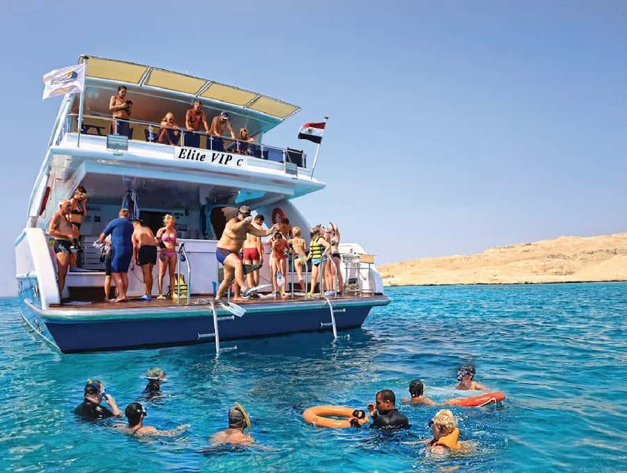 Cairo to Red Sea: VIP Yacht Cruise, Snorkeling & Lunch - Who will enjoy this outing most