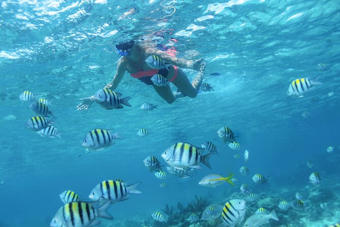 Cancun 4 hour Private Yacht Experience with Lunch and Open Bar Onboard - Lunch, drinks, and the value of the onboard service