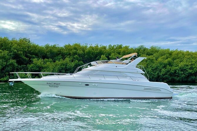 Cancun Yacht Tour - SEARAY YACHT 46 FT GREAT FOR SUNSET 15 PEOPLE MAX 25P9 - Sunset tours and trip choices