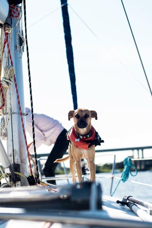 Charleston: Private BYOB Luxury Yacht Cruise - Key points to know before you book