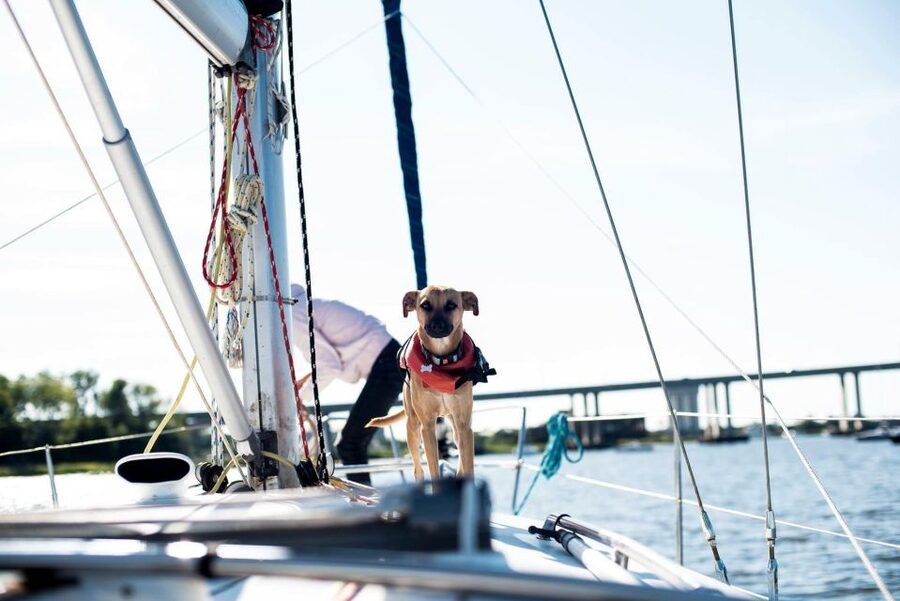 Charleston: Private BYOB Luxury Yacht Cruise - Practical details that can save you trouble