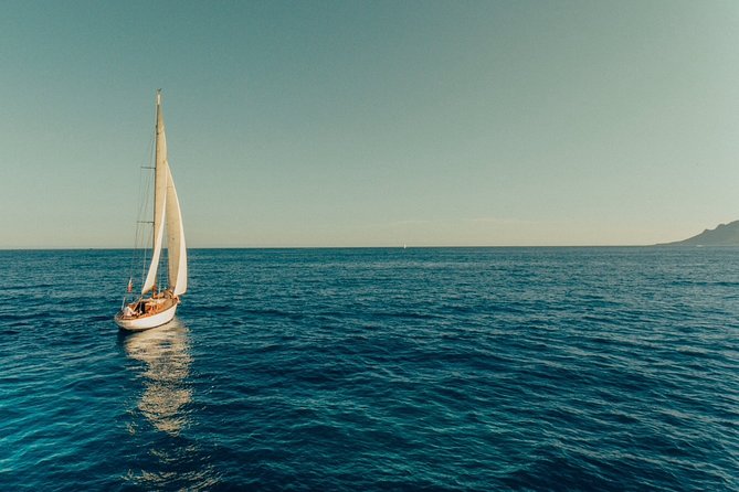 Classic Yacht Sailing in Cannes - Meeting Algue at Quai Saint-Pierre