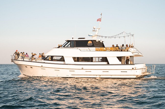 Coastal Cruise on Yacht in Santa Barbara - Wildlife: dolphins, sea lions, seals, and lucky whale sightings