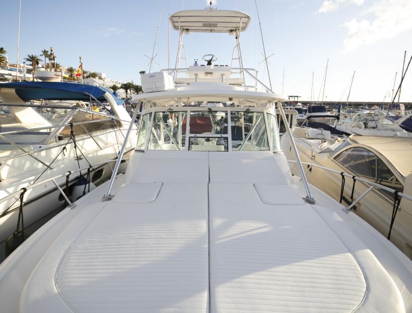 Costa Adeje: Private Yacht Sailing Tour from Puerto Colón - Who Will Enjoy This Yacht Day