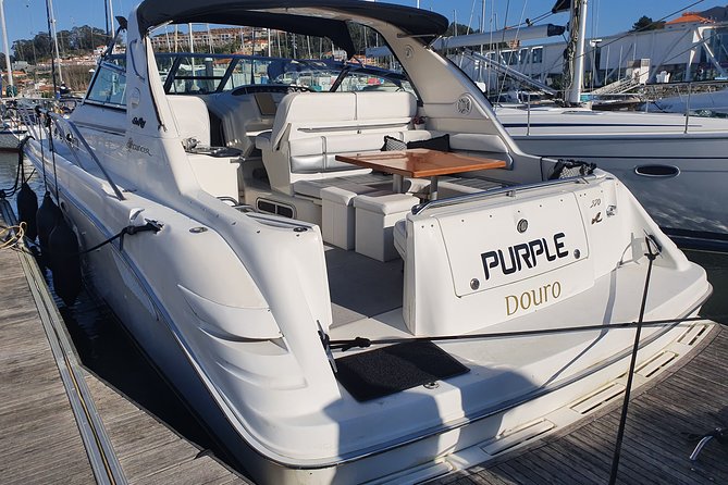 Day trip by private yacht to Curva da Lomba from Porto - Final call: book it for the boat, not just the beach