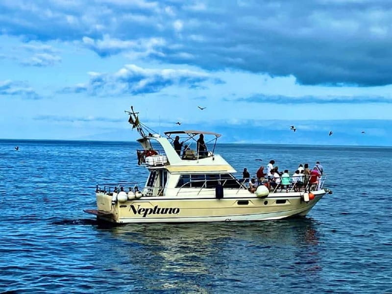 Discover whales in Tenerife: exclusive yacht tour with swim and lunch - Why a 20-person yacht changes the trip