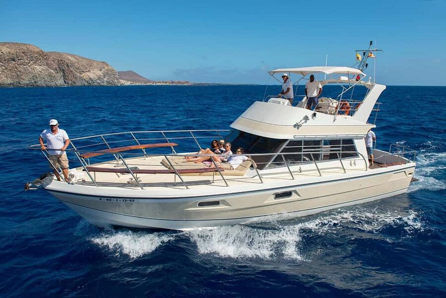 Discover whales in Tenerife: exclusive yacht tour with swim and lunch - The sheltered bay swim