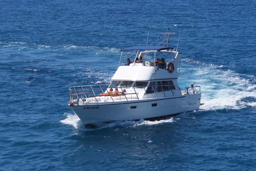 Discover whales in Tenerife: exclusive yacht tour with swim and lunch - Views, comfort, and the pace of the afternoon