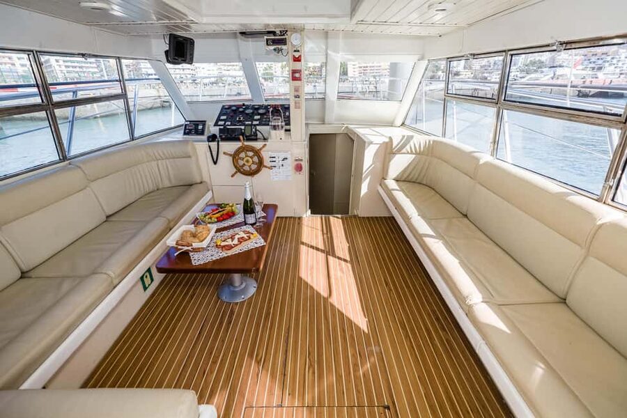 Discover whales in Tenerife: exclusive yacht tour with swim and lunch - Who gets the most from this Tenerife boat trip?