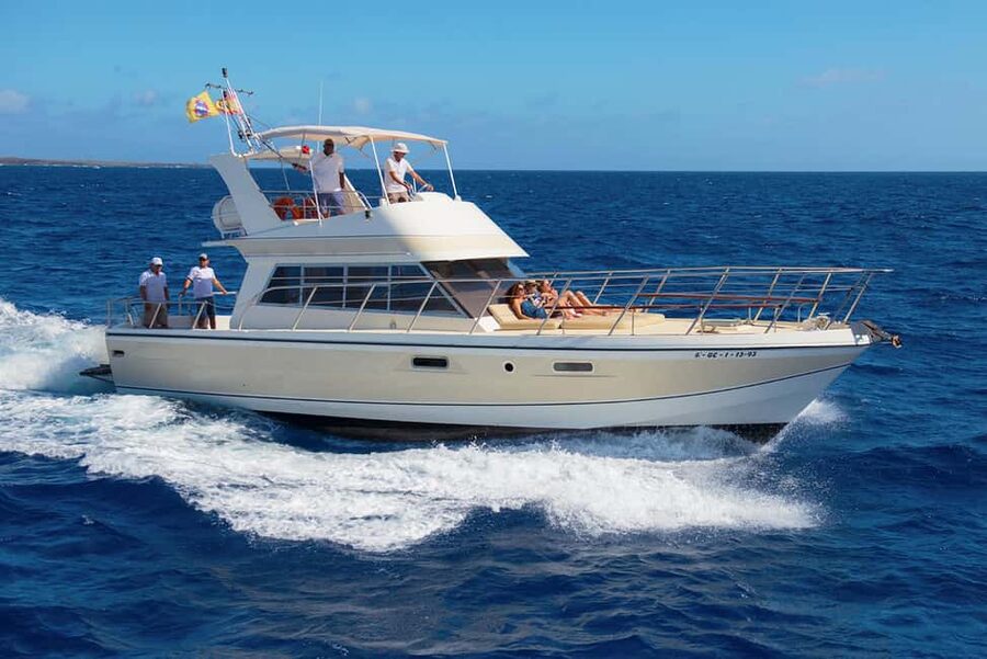 Discover whales in Tenerife: exclusive yacht tour with swim and lunch - Whale and dolphin watching in the wild