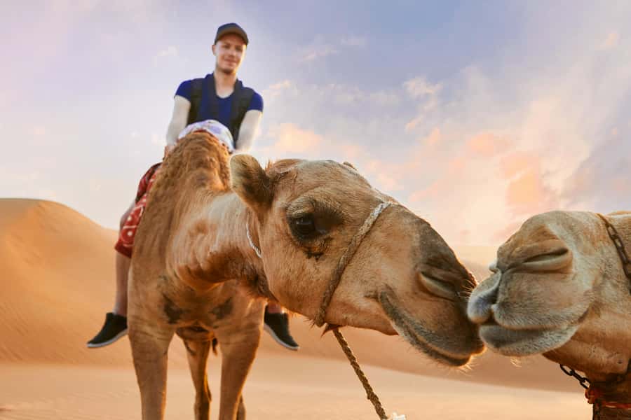 Dubai Waves & Dunes: Luxury Yacht Cruise w/ Red Dunes Safari - Sandboarding needs no lesson