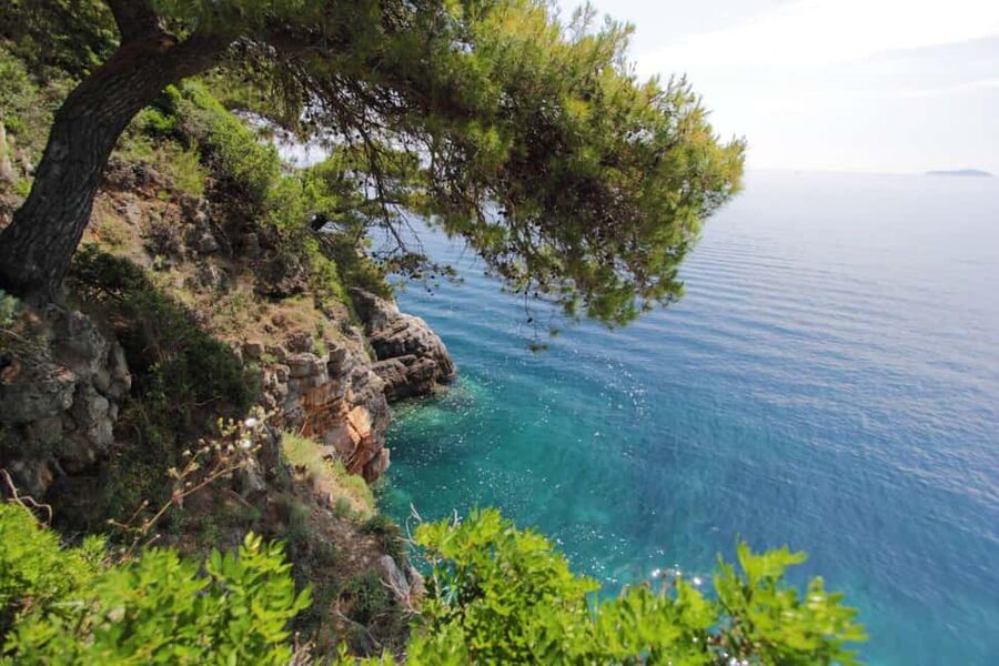 Dubrovnik: Private Luxury Yacht Tour to the Elaphite Islands - Who will enjoy this most?