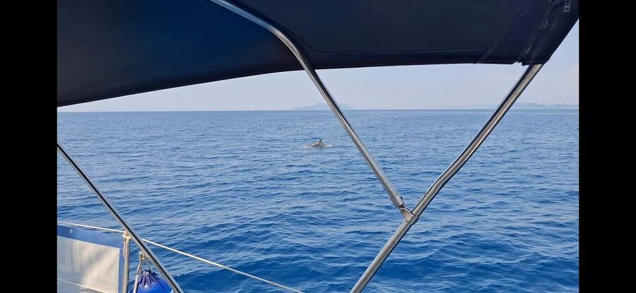 Dubrovnik yacht cruise-Elafity islands & Blue cave - Lopud lunch by the sea, with the bill separate