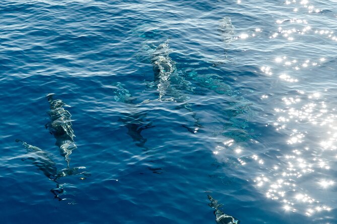 Exclusive Waikiki Yacht Snorkel with Lunch and Bevs - Is $274.10 a fair price?