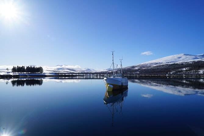 Fjordcruise in a Luxury Yacht Arctic Queen - What you actually see from Tromsø’s waterways