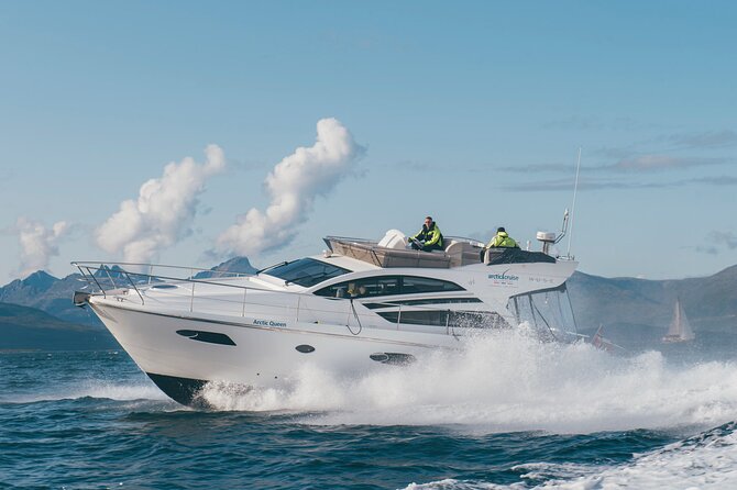 Fjordcruise - Luxury Yacht Arctic Queen - Slowing down in Sørbotn