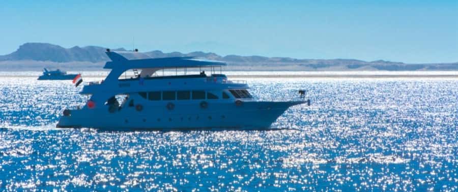 From Cairo: Snorkeling Trip on Yacht with Lunch - Key points to know before booking