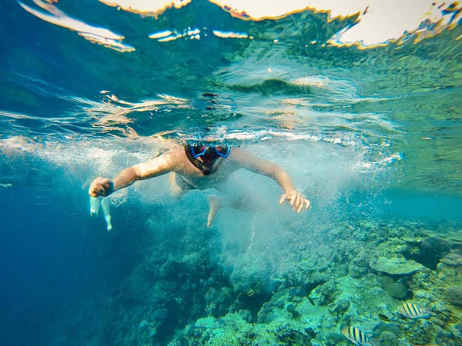 From Cairo: Snorkeling Trip on Yacht with Lunch - From Cairo to the Red Sea in one day