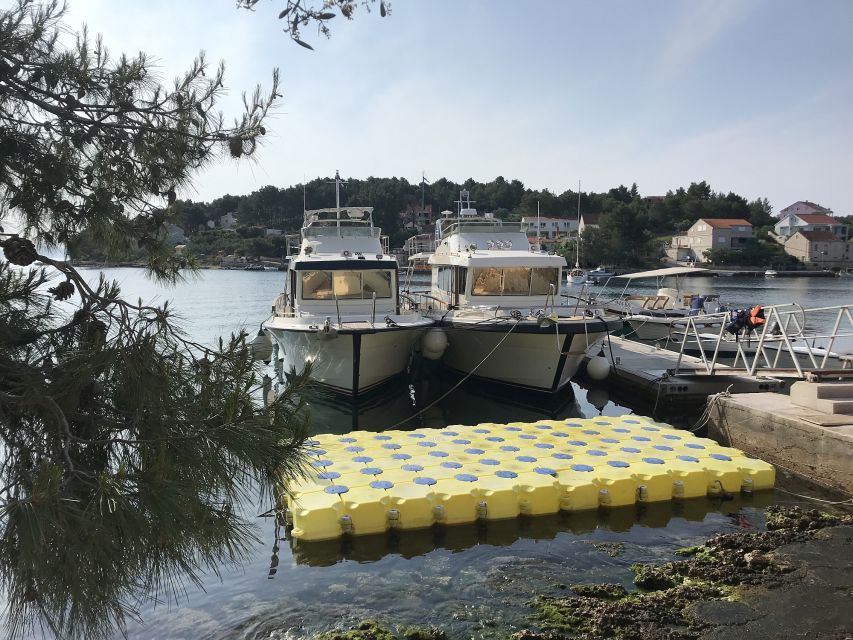 From Korcula island: Mljet Island Yacht Day Trip with Lunch - Is $353 per person good value?