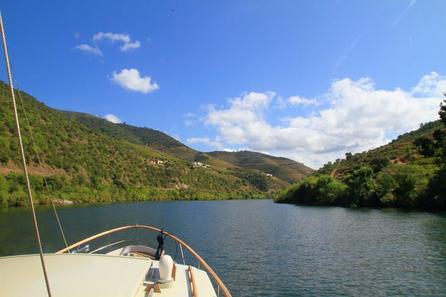 From Pinhão: Private Yacht Cruise along the Douro River - Barbara, Paulo, and the human side of the tour