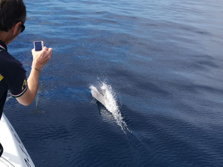 From Tazacorte: Discover the Northwest Coast by Speedy Yacht - The Fantasy hydrofoil and the small-group feel