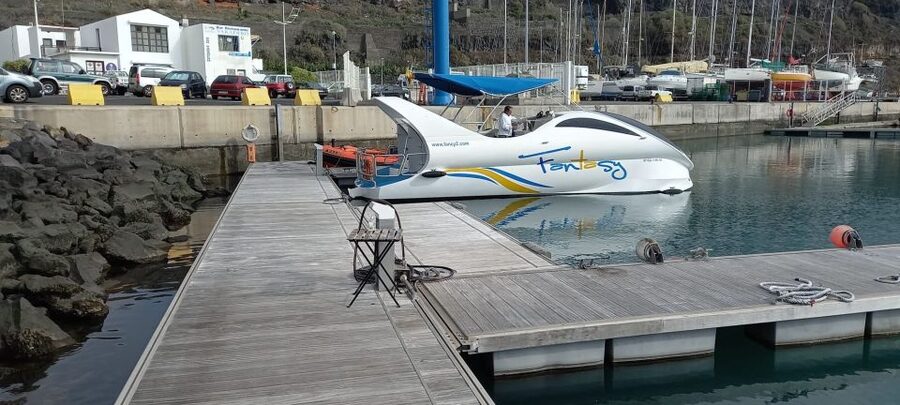 From Tazacorte: Discover the Northwest Coast by Speedy Yacht - Dolphins and pilot whales are a lucky extra