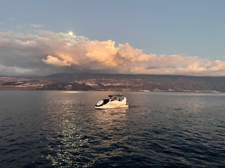 From Tazacorte: Discover the Northwest Coast by Speedy Yacht - Who should book this coastal cruise