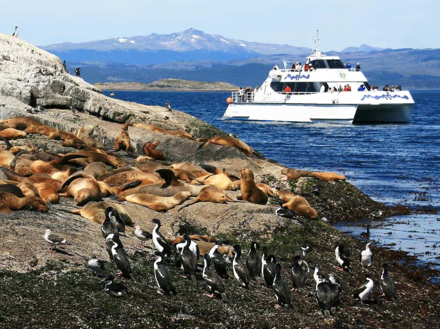 From Ushuaia: Beagle Channel Yacht Sailing Tour - Setting out across Ushuaia Bay