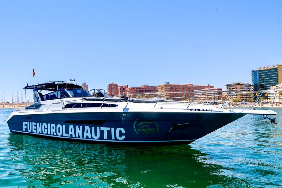 Fuengirola: Dolphin Watching by Yacht with Snacks and Drinks - A swim from the yacht’s stern