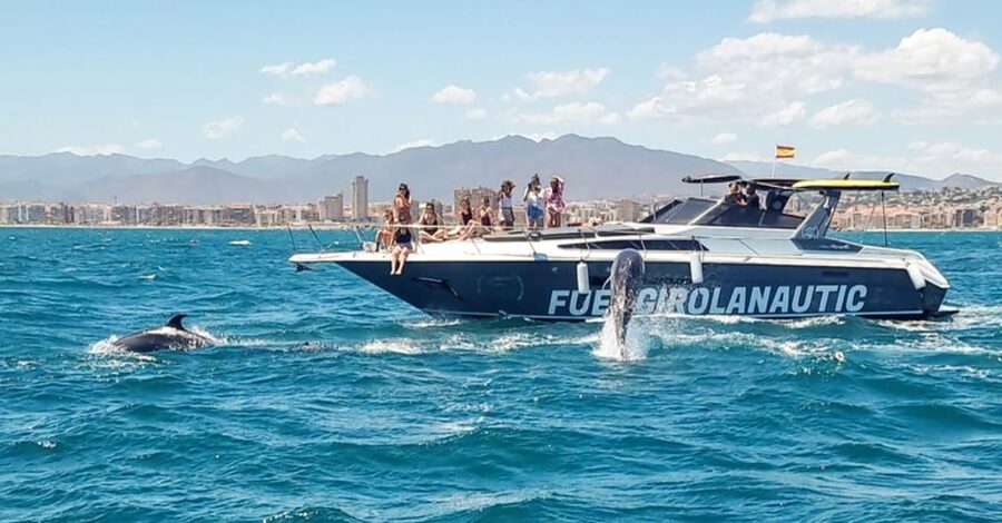 Fuengirola: Dolphin Watching by Yacht with Snacks and Drinks - Drinks and snacks on a 15-meter yacht