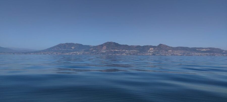 Fuengirola: Fantastic Dolphin Watching Yacht Tour with Drink - Should you book the Fuengirola dolphin cruise?
