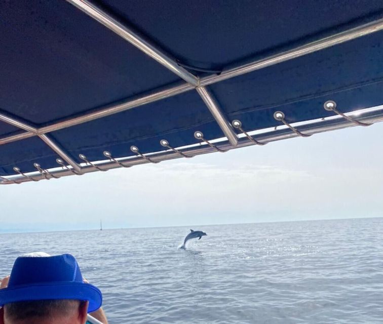 Fuengirola: Fantastic Dolphin Watching Yacht Tour with Drink - A drink, a seat, and time to enjoy the view