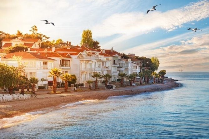 Full Day Private Luxury Yacht Cruise to Princes' Island and / or Bosphorus - Beykoz is the easiest choice for a swim