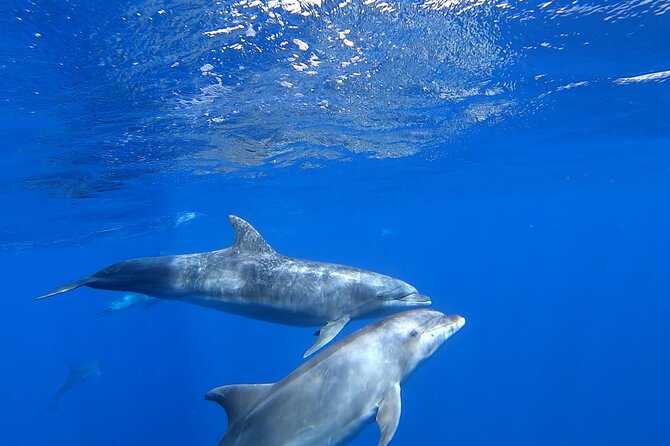 Full day Sailing yacht - Beautiful day on the Atlantic Ocean - Lunch, snacks, and the open bar