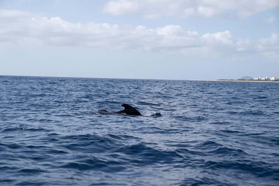 Half-Day Sailing Yacht Adventure in Sal Island - 3 hours - A quiet sail along Sal’s southwest coast