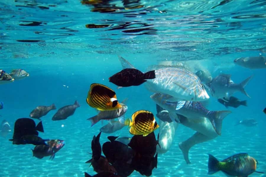 Hurghada: Luxury Private Yacht with Optional Lunch & Drinks - Leaving Hurghada for the Red Sea