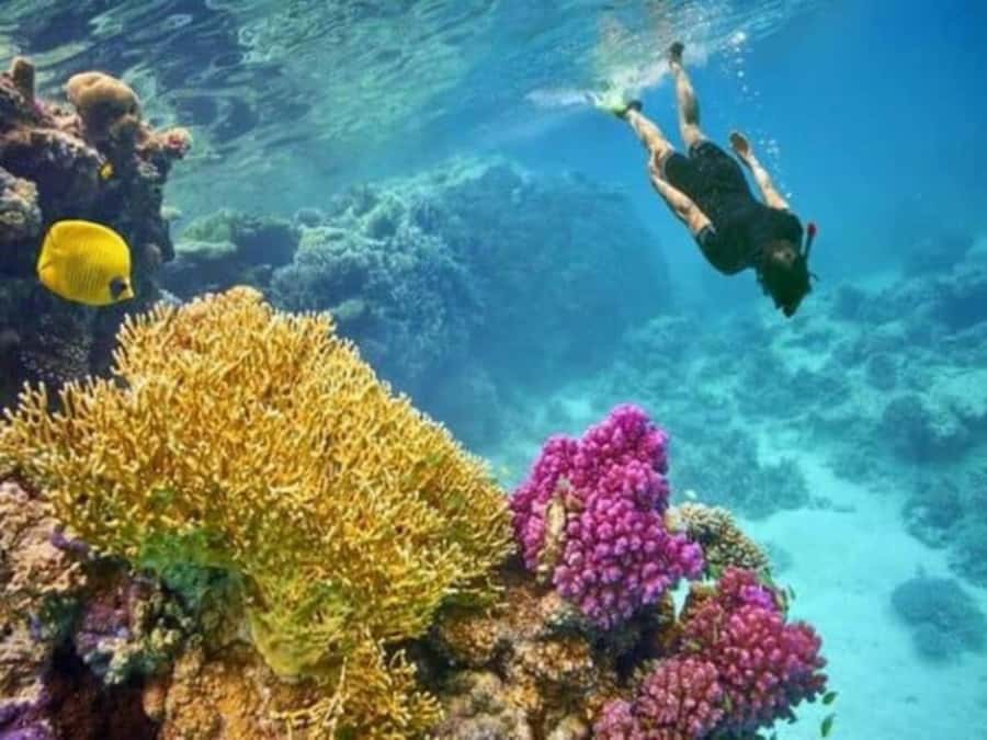 Hurghada: Luxury Private Yacht with Optional Lunch & Drinks - Four hours, with little wasted time